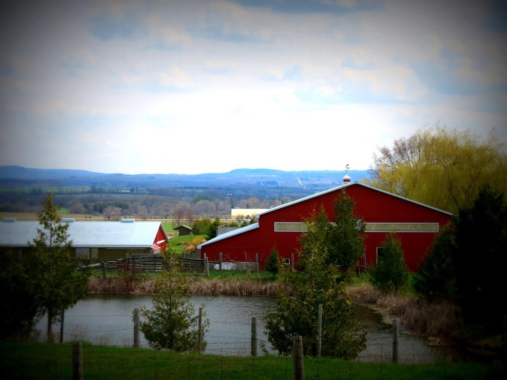 Heathcote Haven Bed & Breakfast Clarksburg Екстериор снимка
